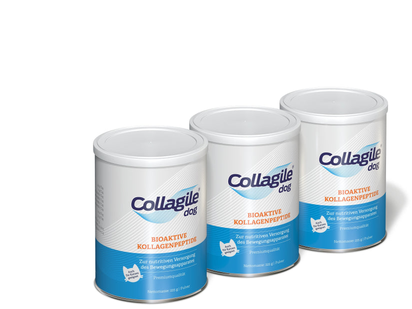 Collagile - 3er-Pack - Collagile dog - 3 x 225g Dose Collagile