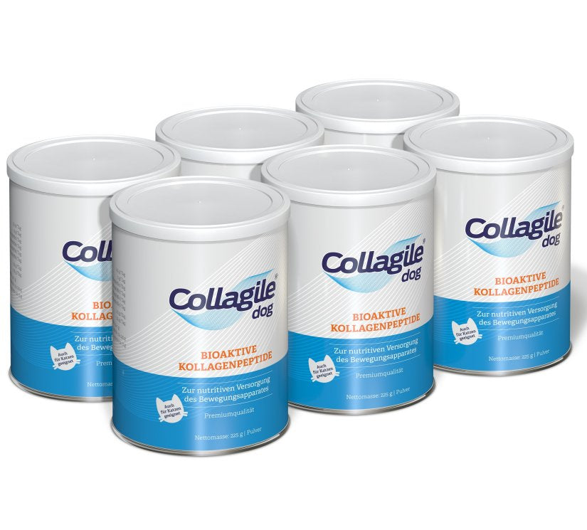 Collagile - 6er-Pack - Collagile dog - 6 x 225g Dose Collagile