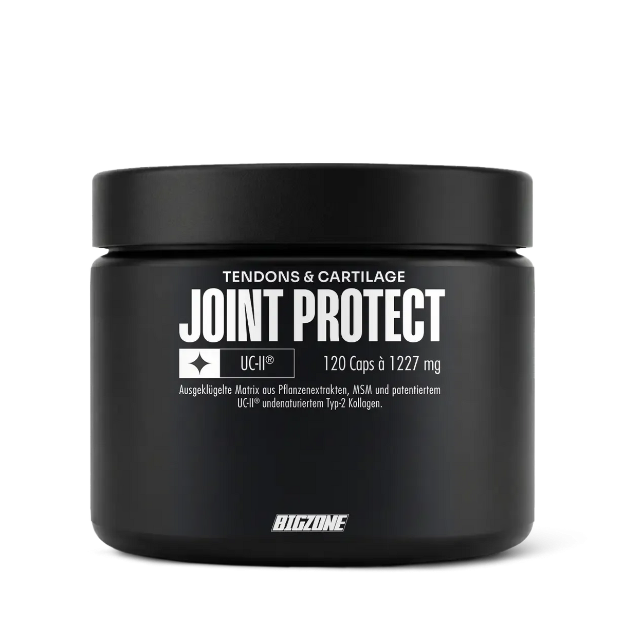 Big Zone - Joint Protect - 120 Kapseln Big Zone