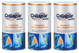 Collagile - 3er-Pack - Collagile active - 3 x 450g Dose Collagile