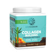 Sunwarrior - Collagen Building Protein Peptides - 500g - MHD 08/2026 Sunwarrior Chocoloate Fudge